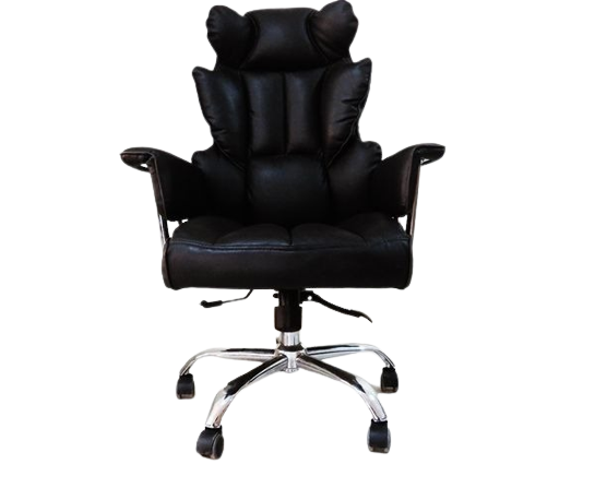 Director's office chair