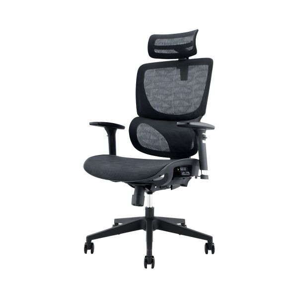 Executive High Back Orthopedic Mesh Seat