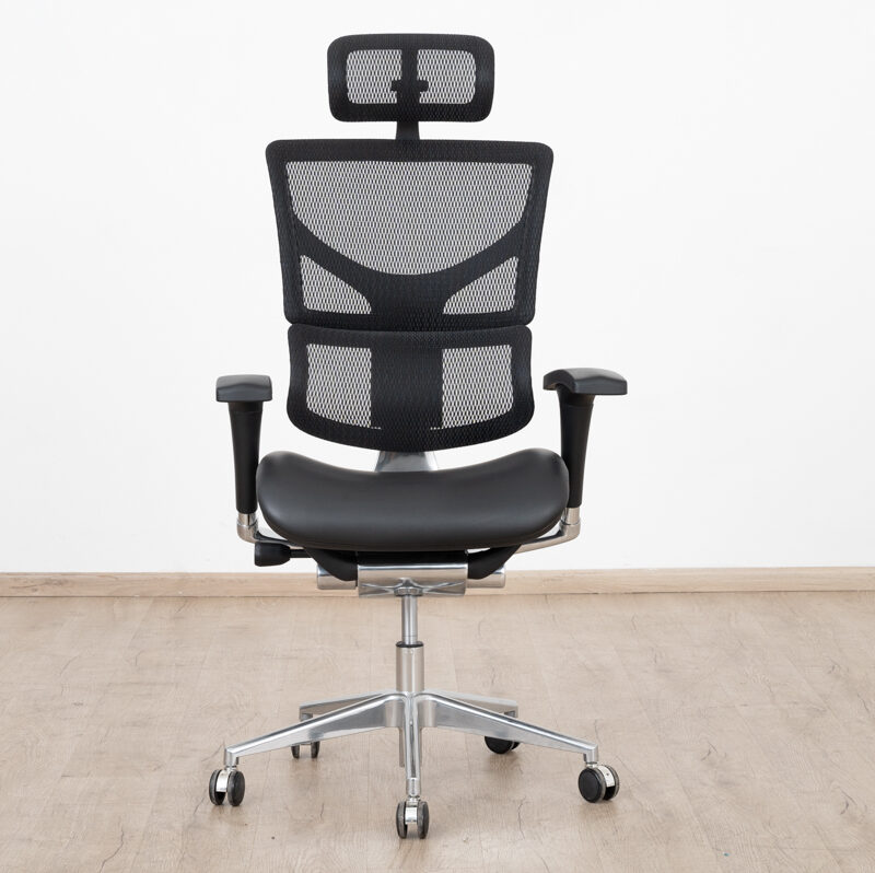 Modern Office Lumbar Support Orthopedic Chair